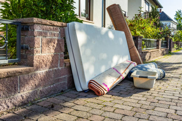 Debris Removal in Lake Arbor, MD